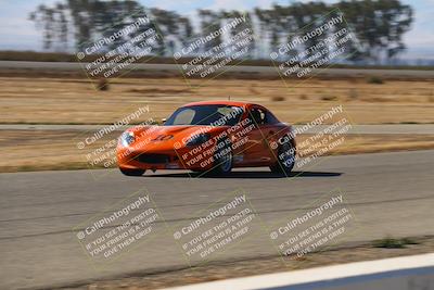 media/Nov-16-2024-CalClub SCCA (Sat) [[641f3b2761]]/Group 6/Grid and Front Straight/